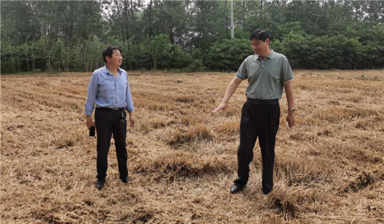 （B 環保列表 三吳大地淮安 移動版）淮安黃花塘鎮專題推進秸稈禁燒禁拋與綜合利用工作