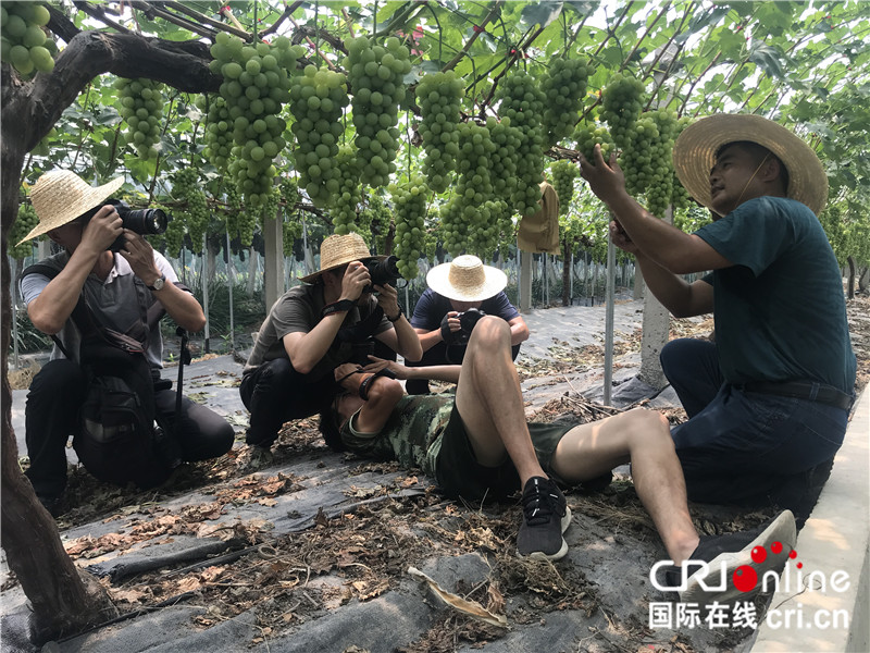 急稿（供稿 文體圖文 CHINANEWS帶圖列表 移動版）“祖國好 家鄉美”大型全媒體影像活動走進句容