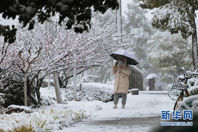 瑞雪兆金陵 虎年“開工雪”來啦