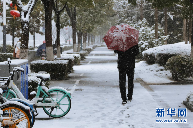 瑞雪兆金陵 虎年“開工雪”來啦