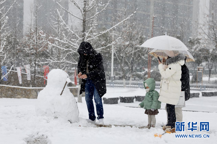 瑞雪兆金陵 虎年“開工雪”來啦