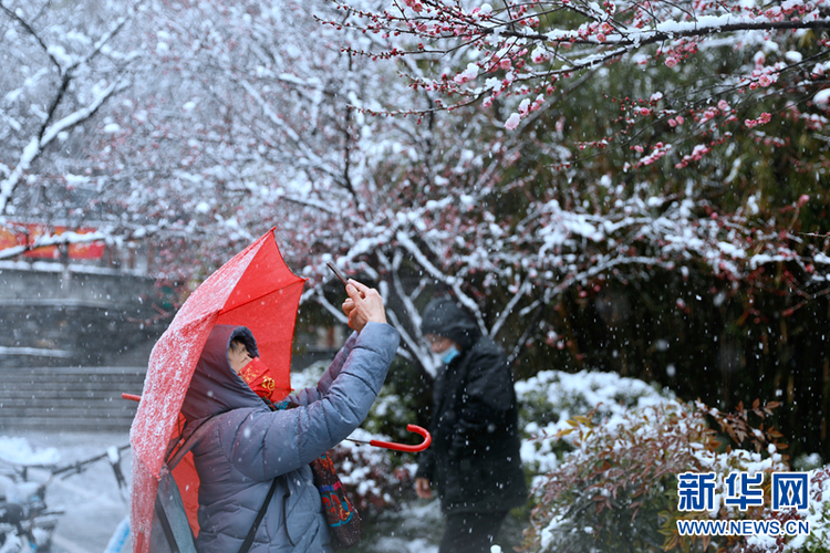 瑞雪兆金陵 虎年“開工雪”來啦