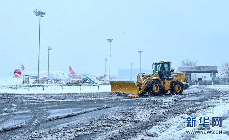 瑞雪兆金陵 虎年“開工雪”來啦