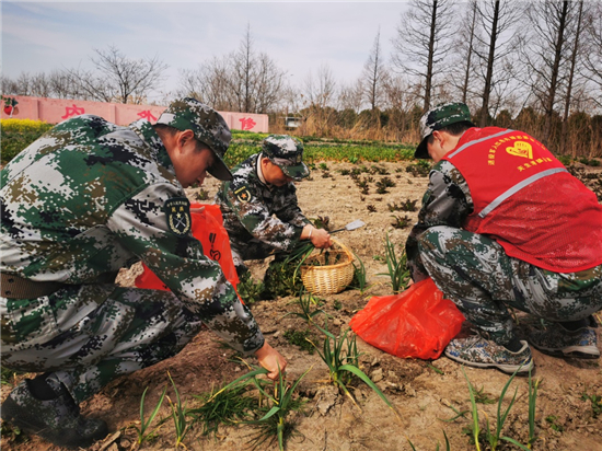 南通崇川：農場紅遇迷彩綠 繪就春天志願底色_fororder_圖片2_副本