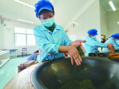 南京：茶葉變“金葉” 托起大産業