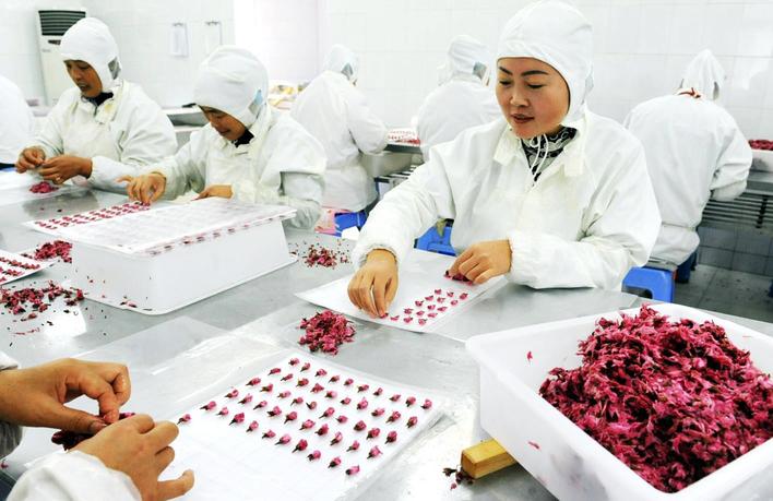 揚企獲國內首張櫻花深加工産品《食品生産許可證》