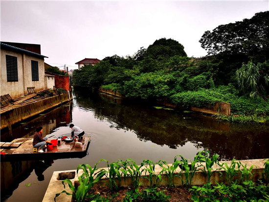 泰州興化市戴南鎮百餘“河邊公園”讓老百姓“在家門口旅遊”_fororder_圖片4