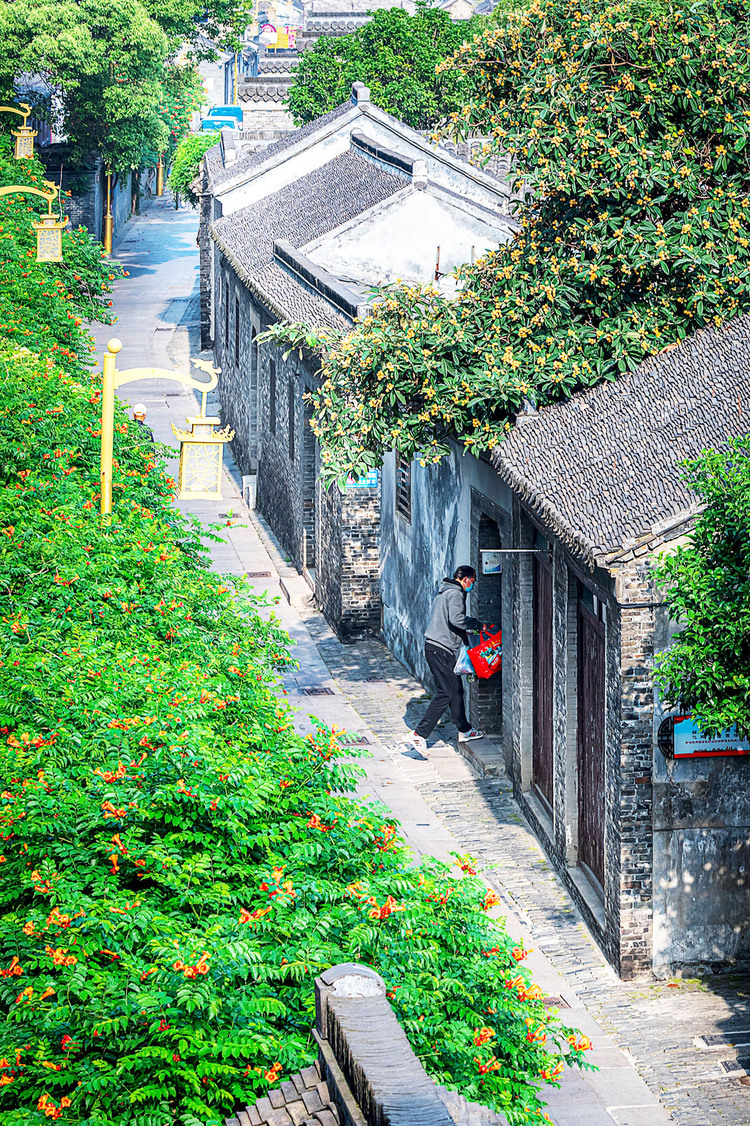 揚州：初夏花意濃