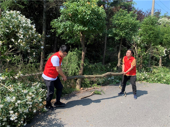 蘇州相城度假區（陽澄湖鎮）：村企協同解決“樹線”矛盾 精準發力保障供電_fororder_2