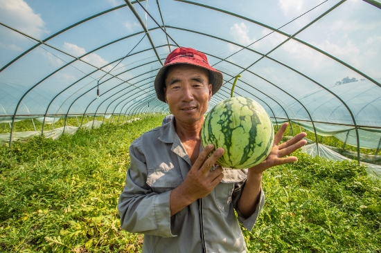 南京愛心西瓜“接力跑”用清涼致敬烈日下的勞動者_fororder_圖片7