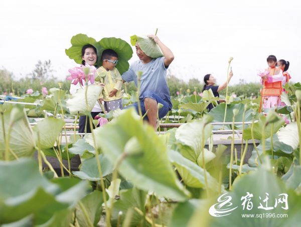 宿遷泗洪：農旅融合促振興