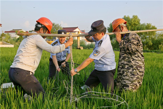 江蘇海安：高溫“烤”驗下的搶修 警察在“汗”衛_fororder_15