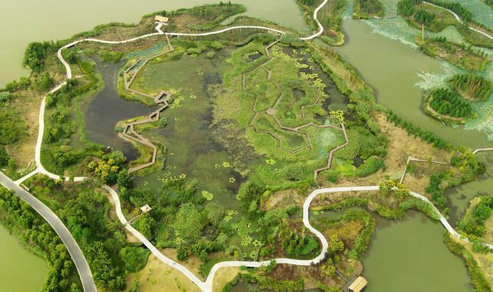 揚州北湖國家濕地公園秋景如畫