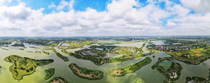 揚州北湖國家濕地公園秋景如畫