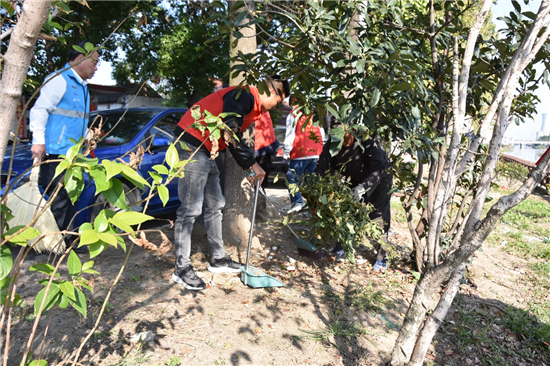 泰州興化戴南鎮張萬村：常態化學黨史辦實事助力文明城市創建_fororder_6