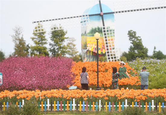 荷蘭花海百合花文化月啟動助力開啟鹽城好秋色文化旅遊季_fororder_圖片 3