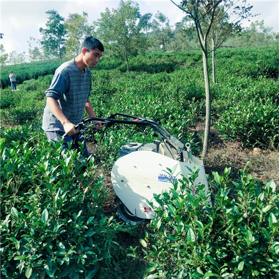 江蘇句容：機械化服務隊助力“茅山長青”茶園高效管理_fororder_18