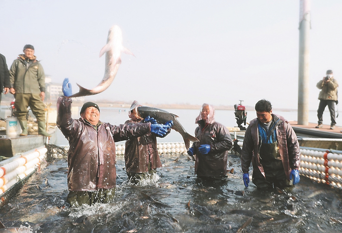 南京金牛湖冬捕節開幕