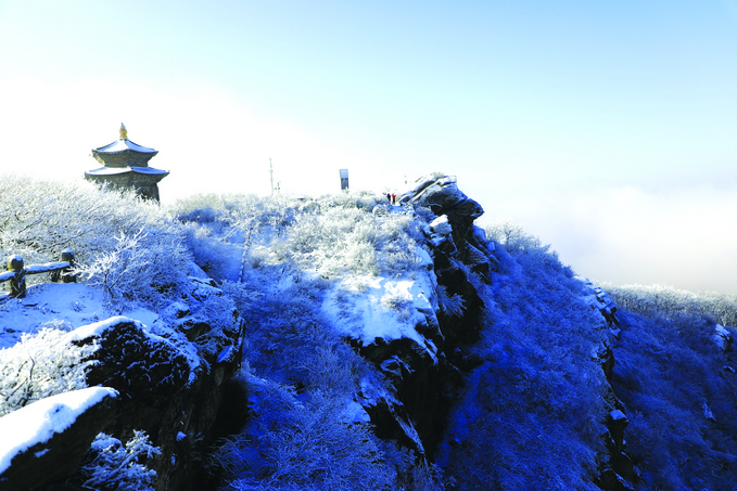 連雲港：兔年首雪 宛若仙境