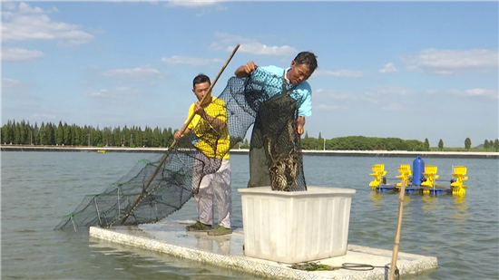 （供稿 食品列表 三吳大地南京 移動版）捕螃蟹慶豐收 南京高淳固城湖螃蟹正式開捕