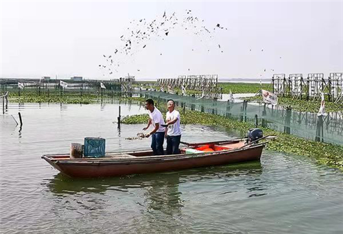 （供稿 旅遊圖文 三吳大地南京 移動版）2019蘇州相城陽澄湖文化旅遊節開幕