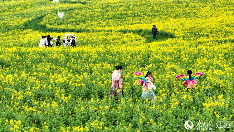 江蘇：“賞花經濟”活力旺