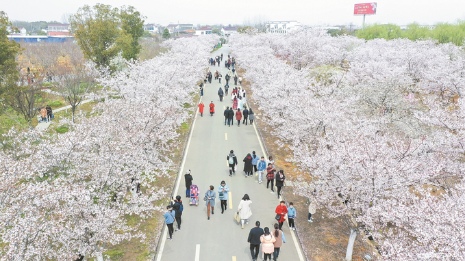 句容：打響茅山文化旅遊節品牌 讓每位遊客找到“詩與遠方”