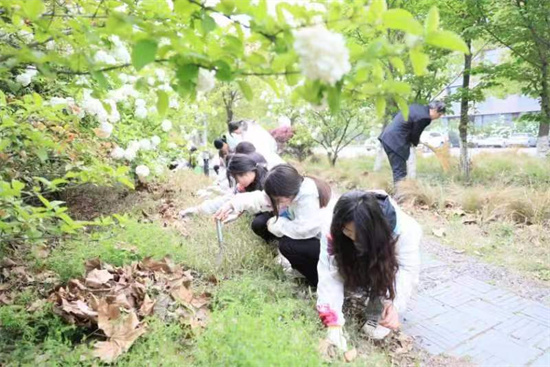 泰州職業技術學院藥學院繡球灣裏“五育並舉”花團錦簇_fororder_圖片4