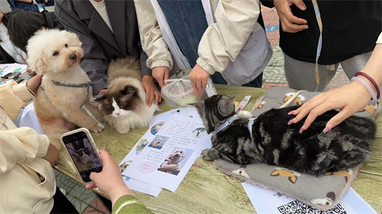 江蘇牧院動物科技學院舉辦週末文化廣場暨“寵愛之家”流浪動物救助活動_fororder_圖片5