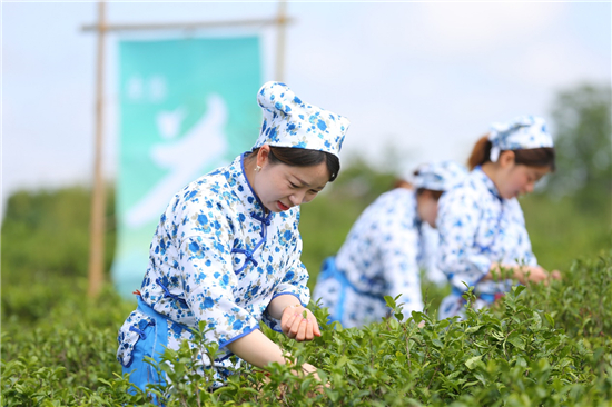 2023南京都市圈（盱眙）雨山茶旅文化節開幕_fororder_2