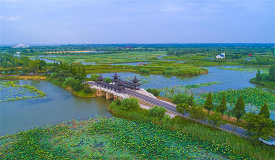 宿遷泗洪：發力“全域旅遊” 2023中國·泗洪洪澤湖濕地文化旅遊季啟動_fororder_圖片16