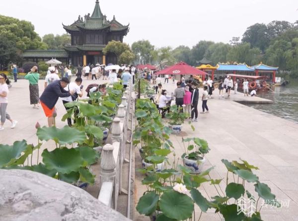 江蘇各地夏日旅遊季繽紛開啟 熱門景區客流涌動