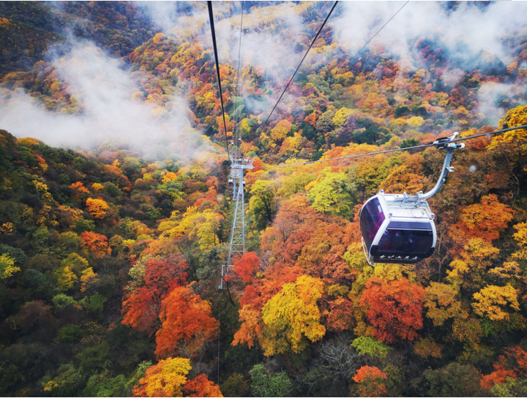 第二十一屆四川光霧山國際紅葉節推介會在南京召開_fororder_20230915_143438_003