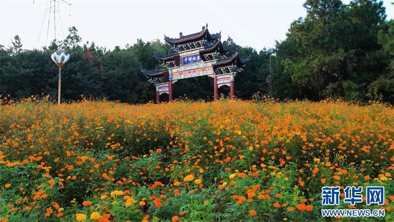 江蘇溧陽：一路繁花 邂逅秋日限定浪漫