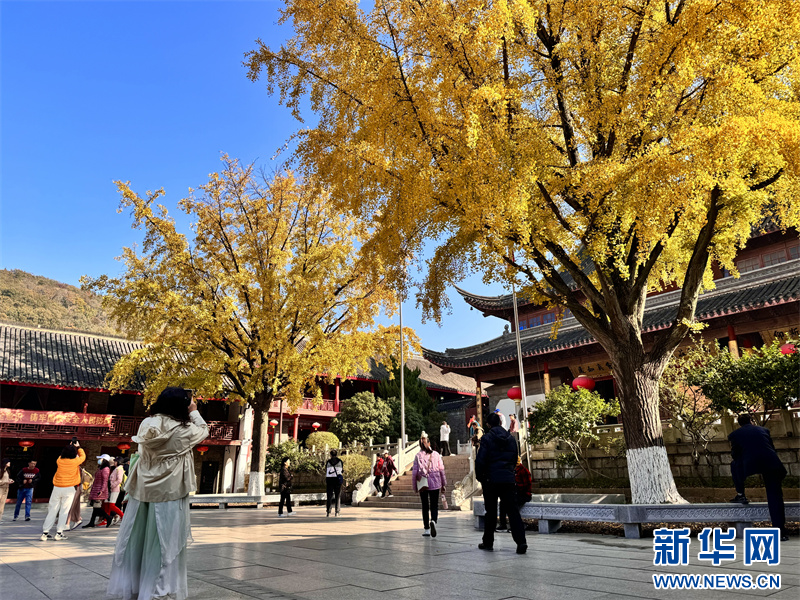 燦若雲霞 南京棲霞山迎來楓葉最佳觀賞期