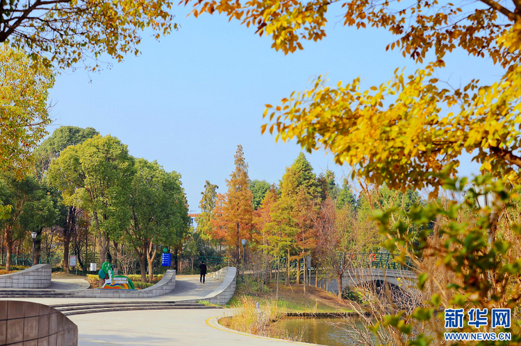 江蘇姜堰：城市公園 冬景如畫