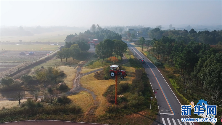 江蘇溧陽：一路繁花 邂逅秋日限定浪漫