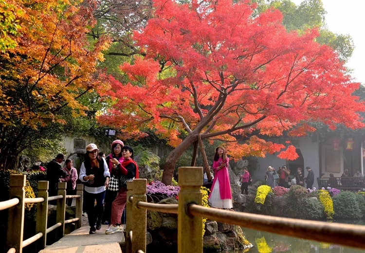 無錫寄暢園楓葉轉紅