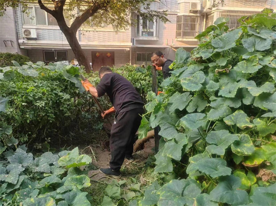 南通崇川：黨建引領，用治理“力度”傳遞幸福“溫度”_fororder_圖片4