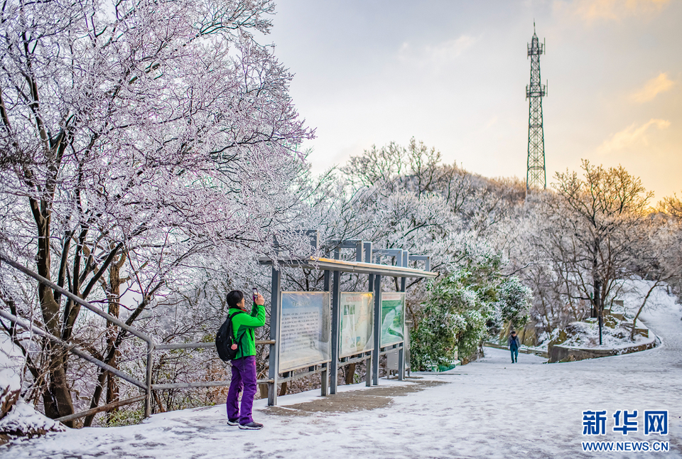 雪後金陵美如畫