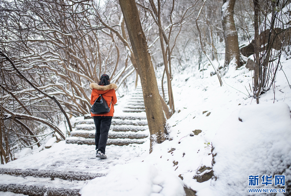 雪後金陵美如畫