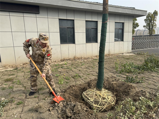 南通市通州區興東街道：春暖花開正當時 民兵植樹顯風采_fororder_圖片1