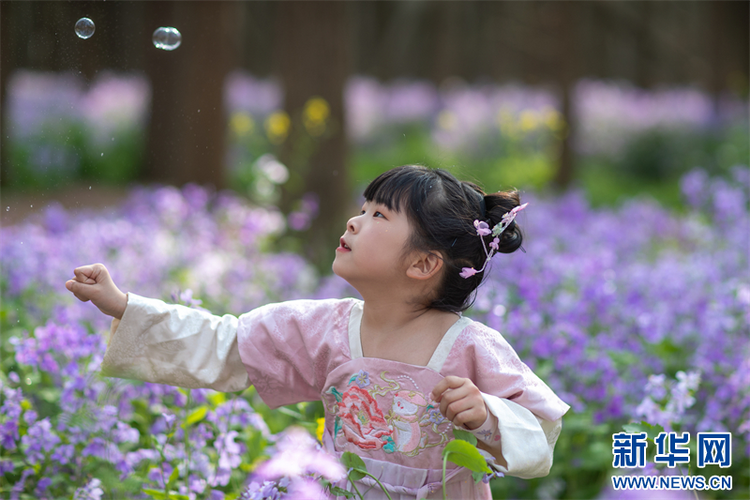 泰州興化：賞花踏青 樂享春光