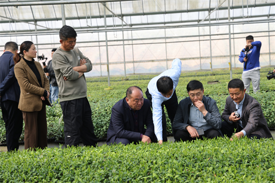 春水烹嫩芽 慢城品鄉茶 第二屆高淳茶旅文化節開幕_fororder_微信圖片_20240324161317