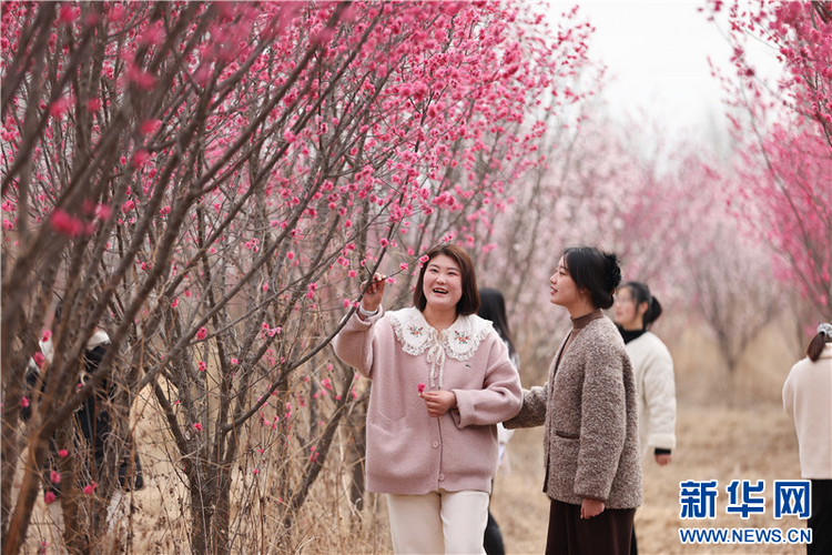 連雲港：春光明媚 踏青賞花正當時