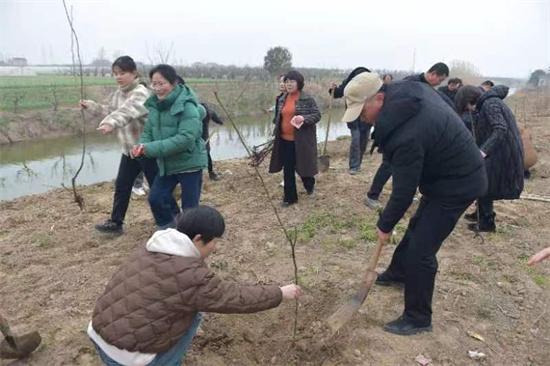 鹽城大豐區大中街道聚力推動綠色發展積蓄更大優勢_fororder_圖片3