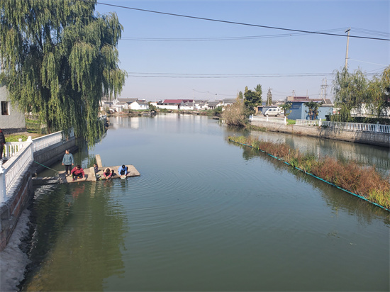 泰州興化戴南鎮顧馮村全域整治環境建設“百姓大公園”_fororder_圖片6