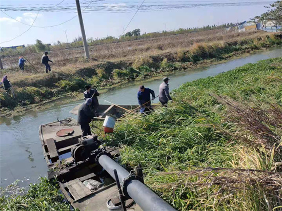 泰州興化戴南鎮顧馮村全域整治環境建設“百姓大公園”_fororder_圖片7