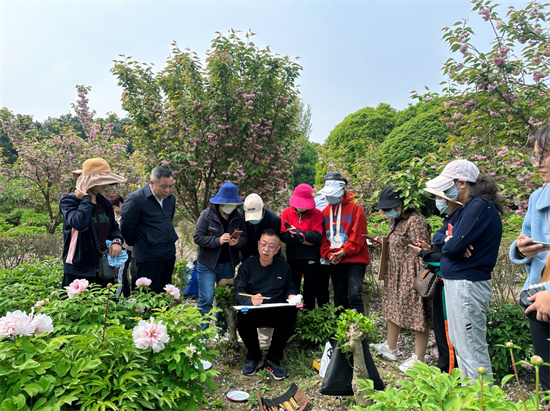 泰州姜堰：牡丹花開香滿園 筆墨生輝留春在_fororder_圖片1