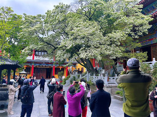 糯米花燃動連雲港孔望山春遊綠色活動_fororder_圖片12